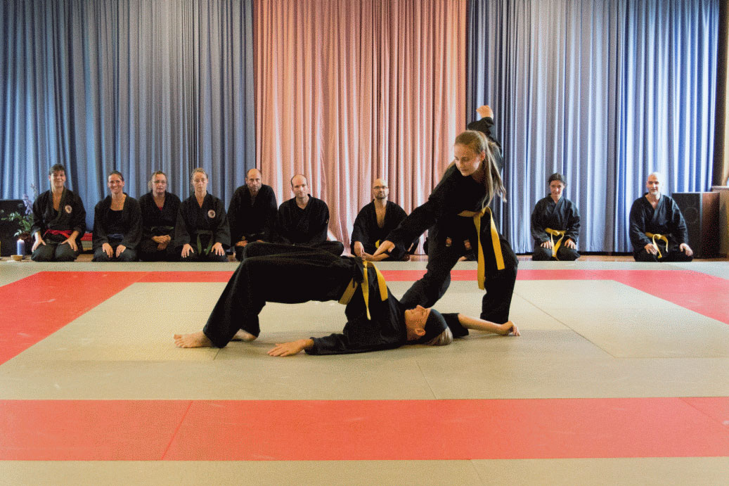 Tag der Offenen Tür, 10 Jahre Shinson Hapkido in Bad Belzig, September 14