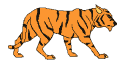 tiger